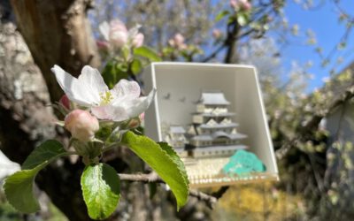 Sachertorte, Ostern, Blütenzauber, Himeji, Vorbereitungen