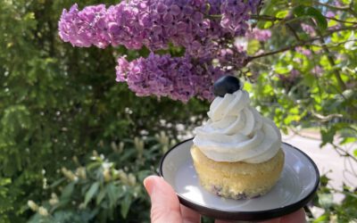 CupCakes, Mond, RIM, Sneak Peek, Bienen, Interview