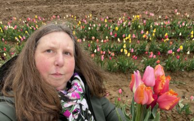 Tulpen, IZF, IHK Arbeitskreis, Papageien, Erdbeeren