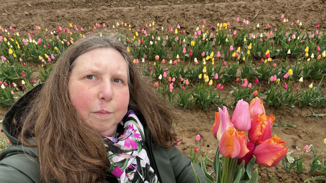 Tulpen, IZF, IHK Arbeitskreis, Papageien, Erdbeeren