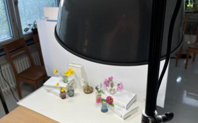 Fotoshooting, Vorbereitungen, Sommerpause