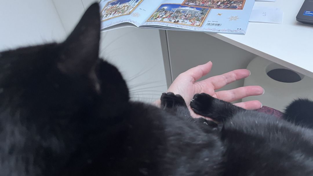 Apfelkuchen, Adventskalender, Kaffeeplausch