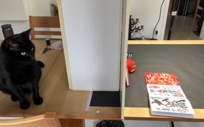 Vorbesprechung, Japan, Abschied, Winter