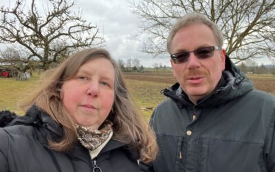 Valentinstag, Pferd, Ambiente, Vorbereitungen