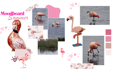 Sweet Summer-Time mit Flamingos