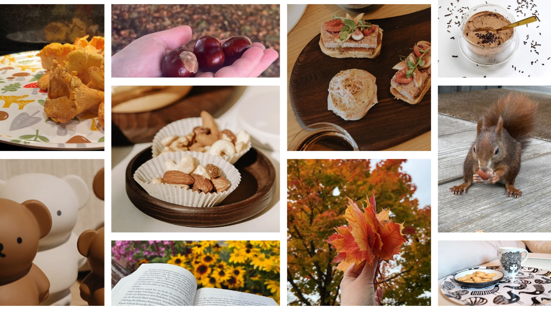 Cozy Herbst mit schönen Dingen